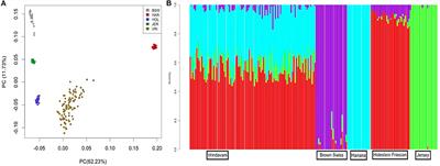 Signatures of Selection in Composite Vrindavani Cattle of India